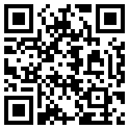 wps2007专业版
