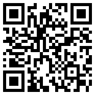 Divirtual汉化版