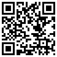 恶霸鲁尼手机版汉化版安卓破解Web1.0版