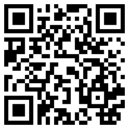 轻量版app