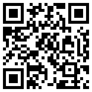 老鸟i主题APP1.1通用版