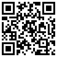珍贵元宝